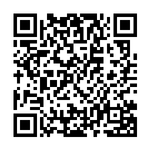 那白虎的动作不由一怔扭过头来虎脸上不可置信闪过二维码生成