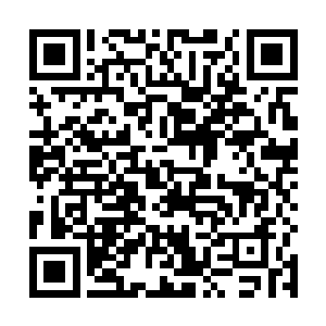 那白骨皇座也在骨皇的惨叫和愤怒的狂吼之中微微一晃二维码生成