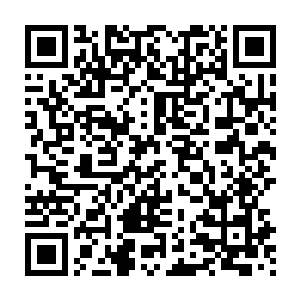 那目光就好像……就好像自己以前看地上爬来爬去的蚂蚁时露出的目光二维码生成