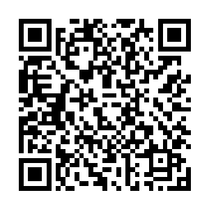 那相信他一定是会斩钉截铁的谢绝林封谨的一切招待的二维码生成