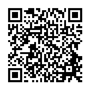 那相貌……不是被柳山气吐血最后郁郁而终的大学士李玉生吗二维码生成