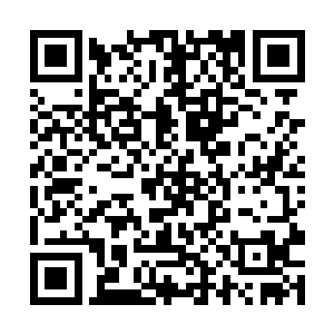 那看似劲舞的长鞭竟然真的被龙英杰一把抓在了手中二维码生成