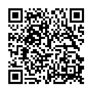 那看样子肯定是要保留住灰姑娘和王子的感情主线了二维码生成