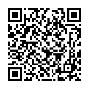 那看着似乎是他们大哥的那个只战战兢兢的解释道二维码生成