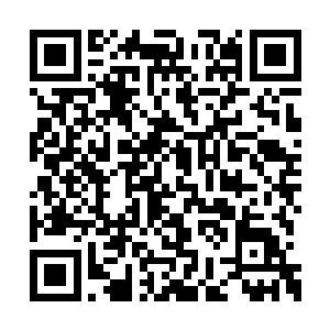 那看起来如同老农般的队伍首领朝着废村走过去二维码生成