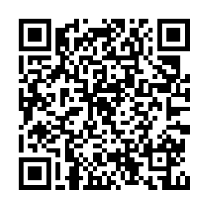 那真说不准他会在冰极州上闹出多大的事出来呢二维码生成