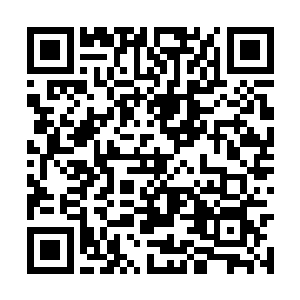 那真龙之气化作的异蛇居然被活生生的撕成了两半二维码生成