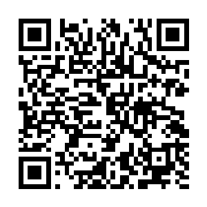 那眼珠子都快要瞪出来了……他原本还非常担心秦方的安危二维码生成