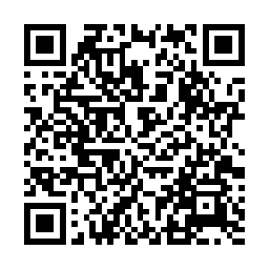 那石柱顶上的火莲却仿佛是吸收了这火柱剩余的力量一般二维码生成