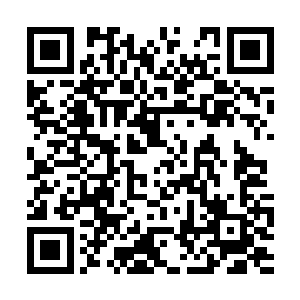 那破活阵的人你没找到吧……难道是找到了血云棺二维码生成