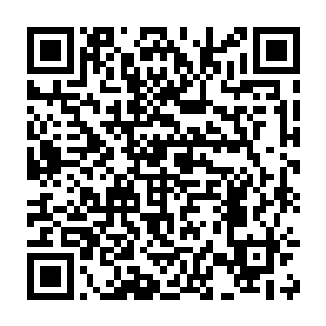 那神态那动作就好像是一个孩子在自己母亲的肚皮上轻轻的摩挲着二维码生成