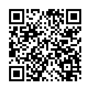 那神盾家族和堕城估计就要大出风头了啊二维码生成