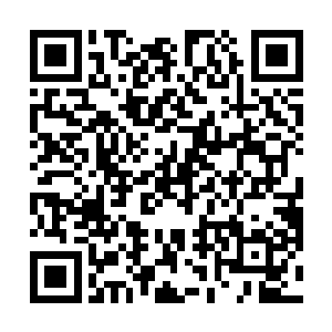 那神秘老者留下了特制的专门给双红炼制仙丹的炼丹炉二维码生成