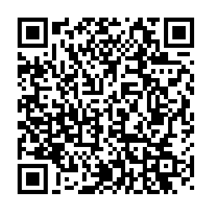 那离火宗岂不是也要像大罗天一样在苍茫大陆上丢尽超级宗门的脸面二维码生成
