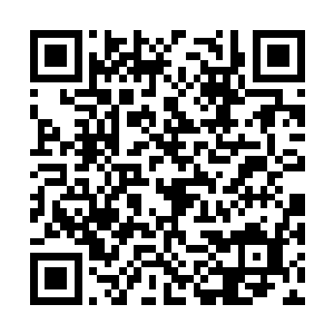 那禽皇身上激荡而出的熊熊金焰此刻也是随之而上二维码生成