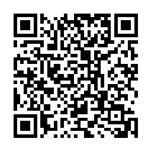 那秃头睚眦在伸手抓向那蓝衫少女时只觉一股大力横推而至二维码生成