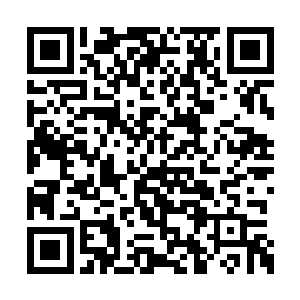 那种养成也对这个女人举手投足的气质有了提升二维码生成