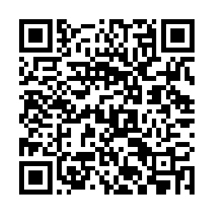 那种凌厉的仿佛要撕碎一切阻挡的气势简直让他们心惊二维码生成