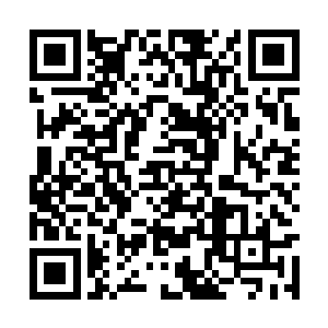 那种刺激不是一个法术把对方轰成齑粉能够得到的二维码生成