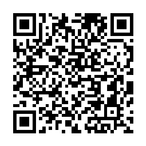 那种剑技的威力可是和自己所拥有的剑技威力同一个层次的二维码生成