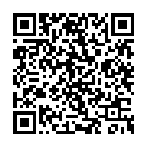 那种变化和当初容易炼体一重的时候有相似之处二维码生成