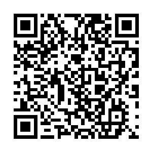 那种可悲而可笑的荒谬感让所有的情绪都缓缓沉淀了下来二维码生成