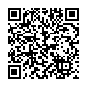 那种强大的压力让他的内心都忍不住的想要崩解开来二维码生成