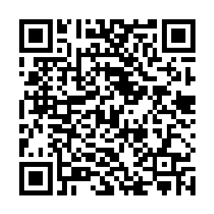 那种当局者迷的雾气就这样一点点从胥宁的眼眸里消散二维码生成