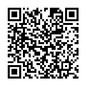 那种感觉就像是被人用千斤大锤狠狠地砸在脑门上一样二维码生成