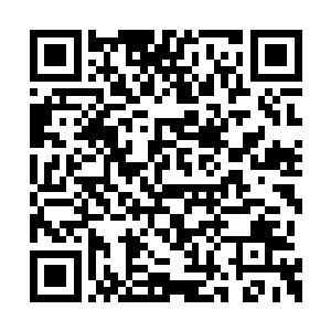 那种戾气充斥全身的感觉这一年中没有在出现过二维码生成
