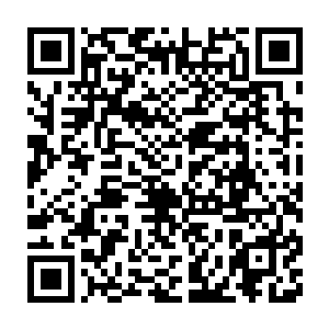 那种打到一半忽然对手跑去上厕所并且一去不回的心情你们是不会动的二维码生成