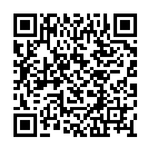 那种排山倒海的节奏浪潮几乎是瞬间就集中了她二维码生成