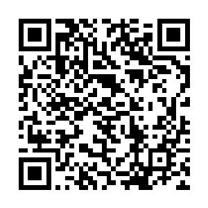 那种攻击出手时的浑厚杀伤力更不是白莲境界能比的二维码生成