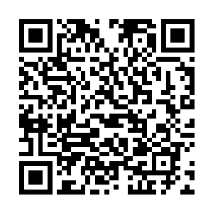 那种无声睥睨的姿态跟那个优雅又逗比的代离很是不同二维码生成