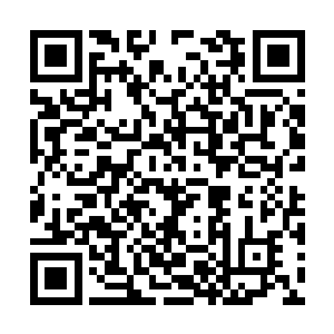 那种杀气……天知道是杀了多少人才能锻炼出来的二维码生成