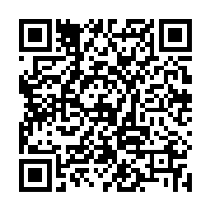 那种波动的程度让远远跟着许紫烟的百族修士心中震惊二维码生成