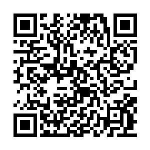 那种程度的震荡根本就不是他们能够承受的气的二维码生成