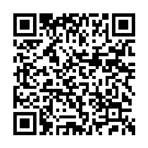 那种简单而粗暴的情绪释放是如此真实如此直接二维码生成