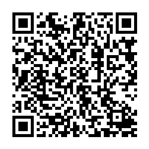 那种聚集在一起的大量活物形成的视觉恐怖感……我知道这对人来说二维码生成