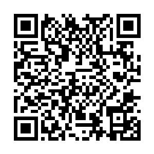 那种花也是曼殊沙华这个神奇的植物种族中的一员二维码生成