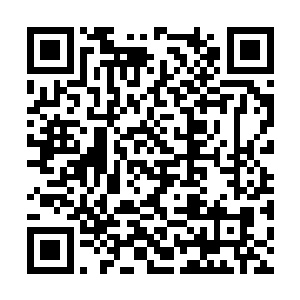 那秦先生的女朋友的来头怎么也不比自己老板低啊二维码生成