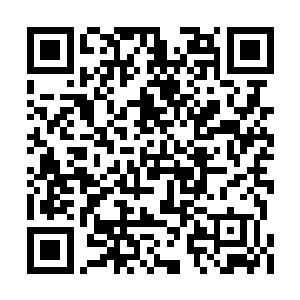 那穿着一袭樱花浅色裙衫的女子已经走到了跟前二维码生成