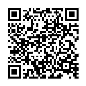 那突然袭击而来的身影却是忽然出现在了小女孩的身边二维码生成