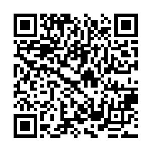 那站在门口内的一名红发柔美女子却是突然走出来二维码生成