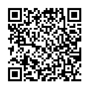 那等到明年的这个时候真的可以所有人都毫无顾忌的吃这个二维码生成