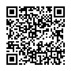 那筑基初期修士闪躲不及登时被扇了一个五花朝顶二维码生成