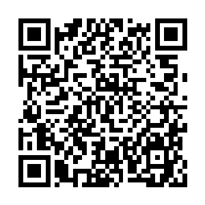 那篇置顶的帖子回复量已经达到了一千九百多条二维码生成
