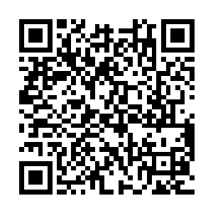 那粗大的双手正轻轻的握着中年美妇那白若羊脂的玉手二维码生成