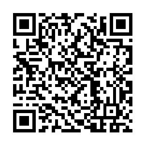 那红斑就像是突然间有了生命似的开始噬咬和撕扯二维码生成