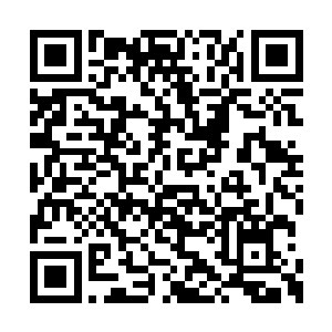 那红脸汉子像是听到了天下间最可笑的笑话一样二维码生成
